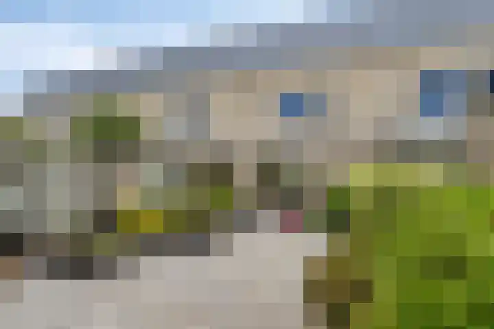 Pinksterbloemstraat 7 Goes thumbnail 4