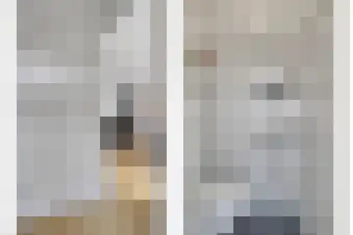 Pinksterbloemstraat 7 Goes thumbnail 5