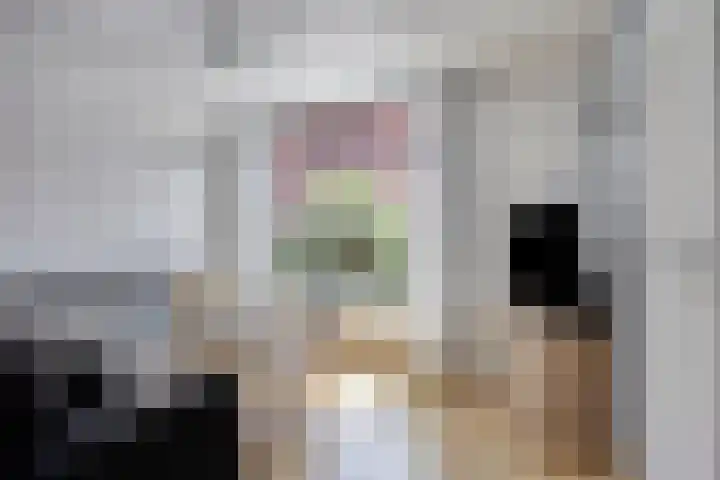 Pinksterbloemstraat 7 Goes thumbnail 6