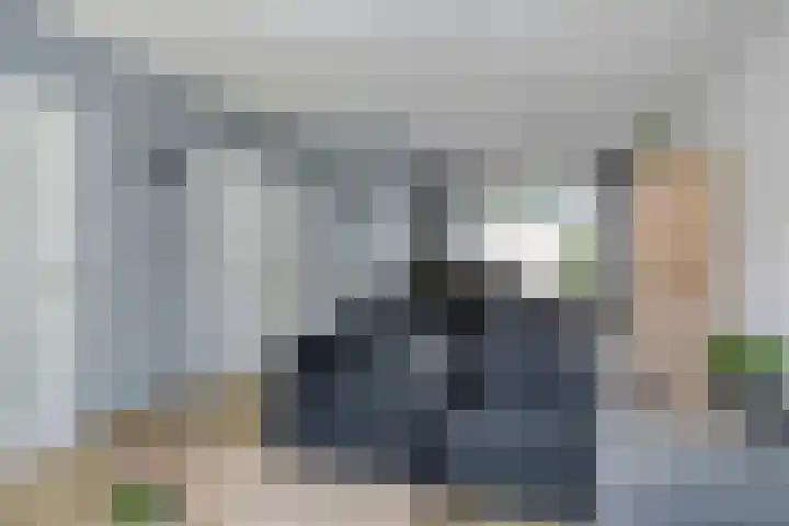 Pinksterbloemstraat 7 Goes thumbnail 7