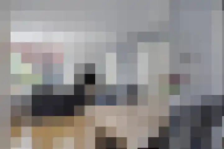 Pinksterbloemstraat 7 Goes thumbnail 8