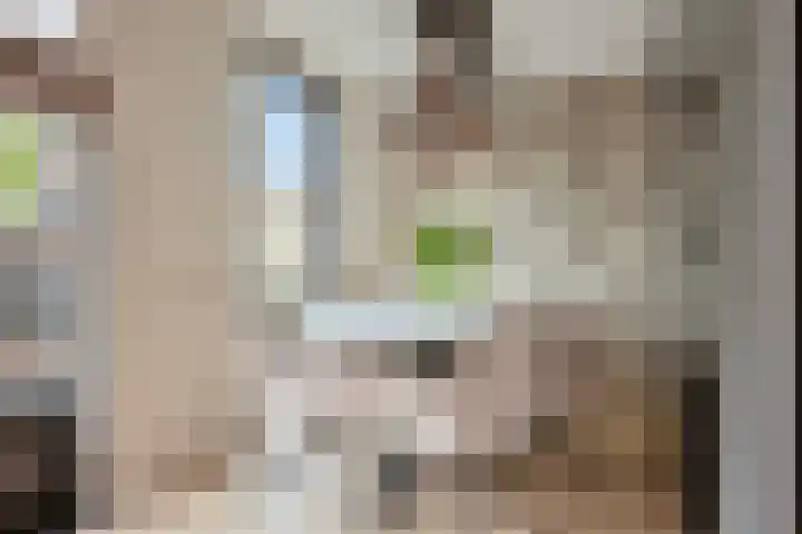 Pinksterbloemstraat 7 Krimpen aan de Lek thumbnail 18