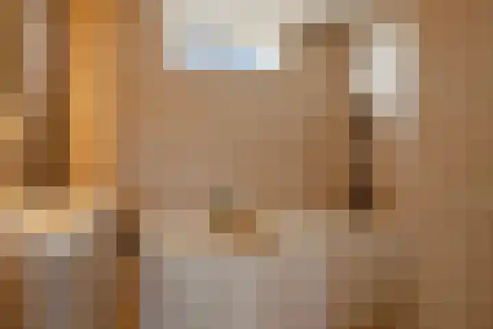 Pinksterbloemstraat 7 Krimpen aan de Lek thumbnail 26