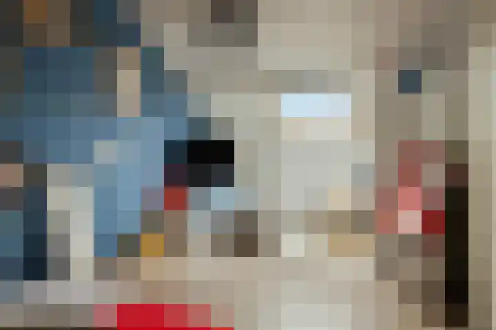 Pinksterbloemstraat 7 Krimpen aan de Lek thumbnail 32