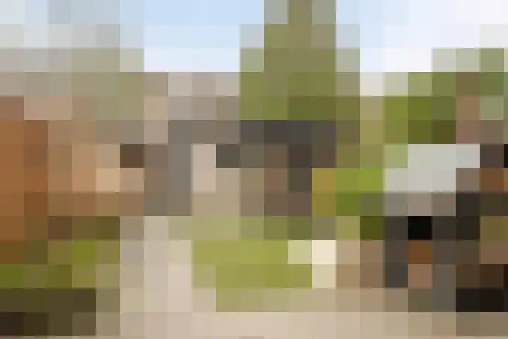 Pinksterbloemstraat 7 Krimpen aan de Lek thumbnail 33