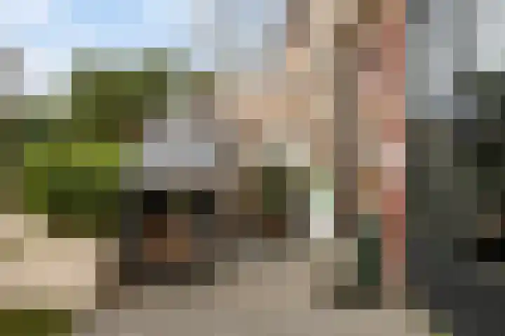 Pinksterbloemstraat 7 Krimpen aan de Lek thumbnail 37