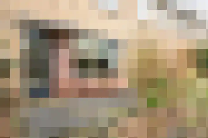 Pinksterbloemstraat 7 Krimpen aan de Lek thumbnail 38