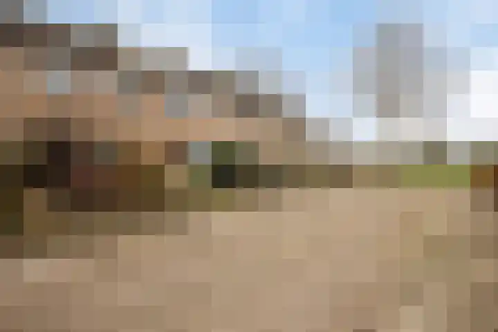 Pinksterbloemstraat 7 Krimpen aan de Lek thumbnail 40
