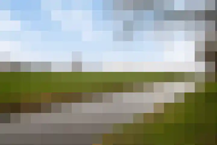 Pinksterbloemstraat 7 Krimpen aan de Lek thumbnail 42