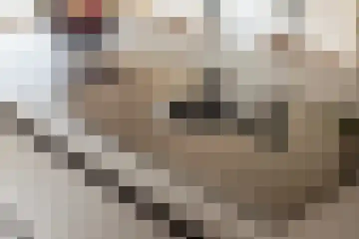 Pinksterbloemstraat 7 Krimpen aan de Lek thumbnail 9