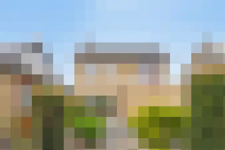 Pinksterbloemstraat 7 Rosmalen thumbnail 30