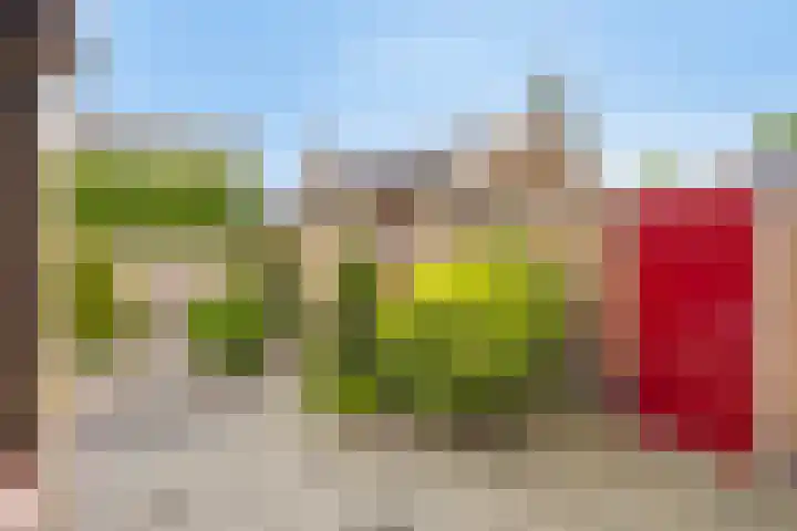Pinksterbloemstraat 7 Rosmalen thumbnail 31
