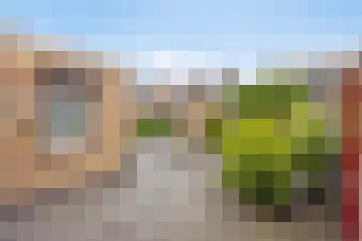 Pinksterbloemstraat 7 Rosmalen thumbnail 32