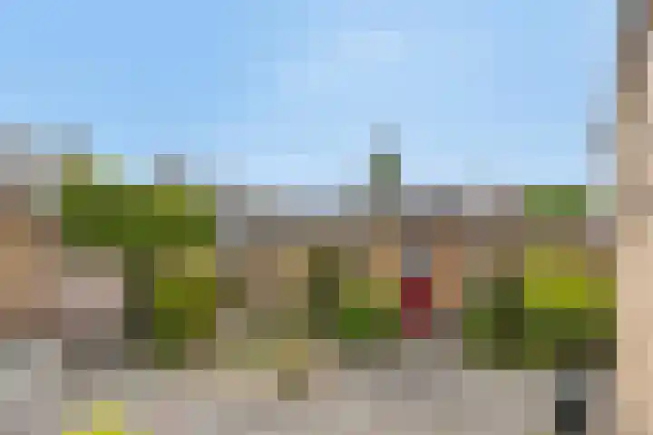 Pinksterbloemstraat 7 Rosmalen thumbnail 33