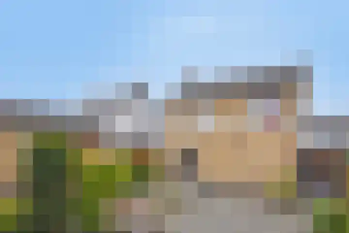 Pinksterbloemstraat 7 Rosmalen thumbnail 34