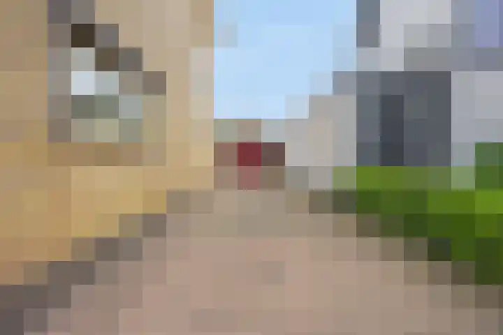 Pinksterbloemstraat 7 Rosmalen thumbnail 35