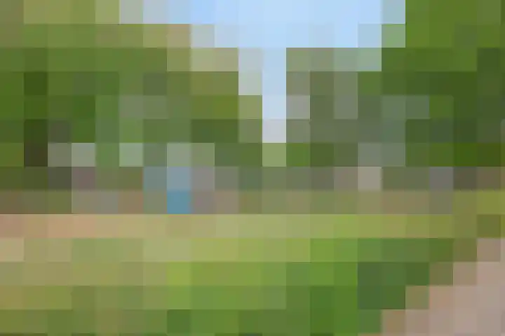 Pinksterbloemstraat 7 Rosmalen thumbnail 40