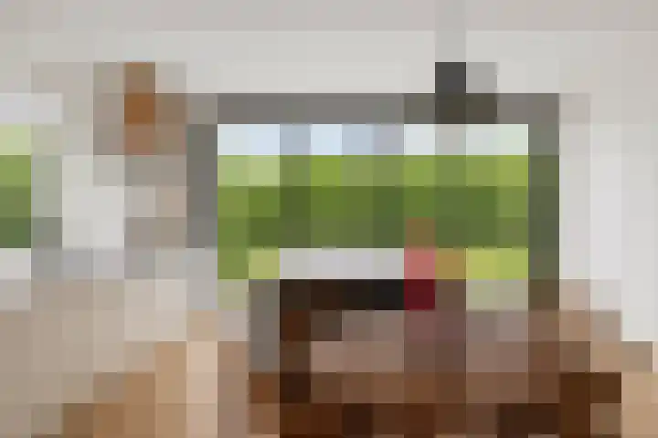 Pinksterbloemstraat 7 Rosmalen thumbnail 48