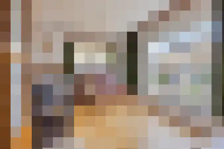 Pinksterbloemstraat 7 Rosmalen thumbnail 5