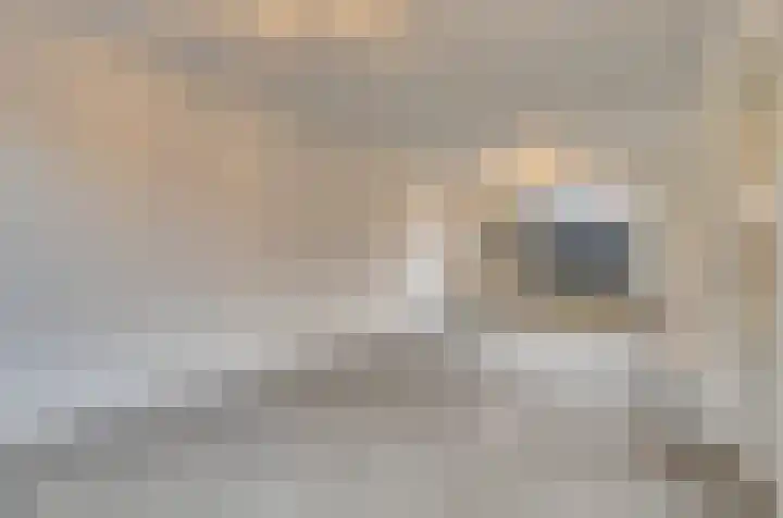 Pinksterbloemstraat 8 Hoogblokland thumbnail 9