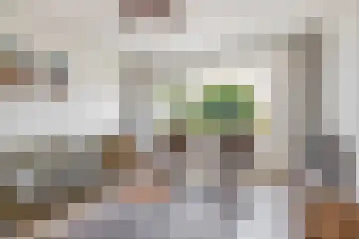 Pinksterbloemstraat 9 Krimpen aan de Lek thumbnail 11