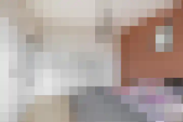 Pinksterbloemstraat 9 Krimpen aan de Lek thumbnail 21