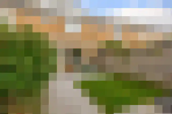 Pinksterbloemstraat 9 Krimpen aan de Lek thumbnail 37