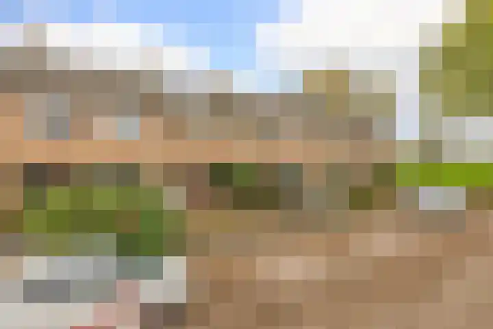 Pinksterbloemstraat 9 Krimpen aan de Lek thumbnail 38
