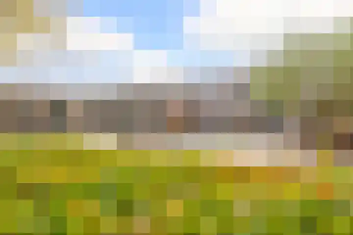 Pinksterbloemstraat 9 Krimpen aan de Lek thumbnail 39