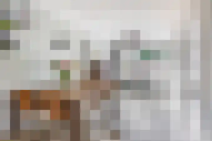 Pinksterbloemstraat 9 Krimpen aan de Lek thumbnail 4