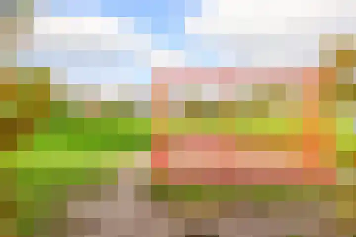 Pinksterbloemstraat 9 Krimpen aan de Lek thumbnail 40