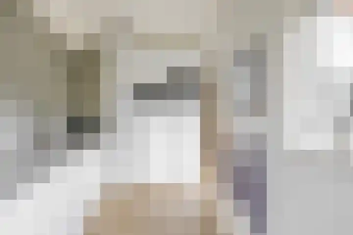Pinksterbloemstraat 9 Krimpen aan de Lek thumbnail 5