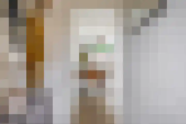 Pinksterbloemstraat 9 Krimpen aan de Lek thumbnail 9