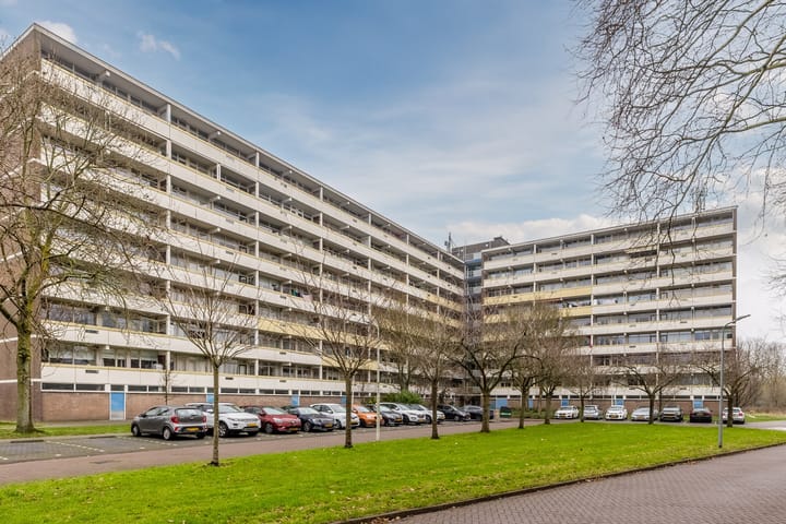 Pinksterbloemweg 109 in Zaandam Foto