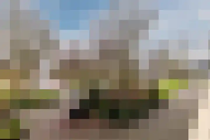 Pinksterbloemweg 109 Zaandam thumbnail 28