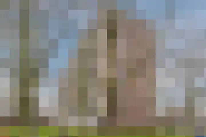 Pinksterbloemweg 109 Zaandam thumbnail 30