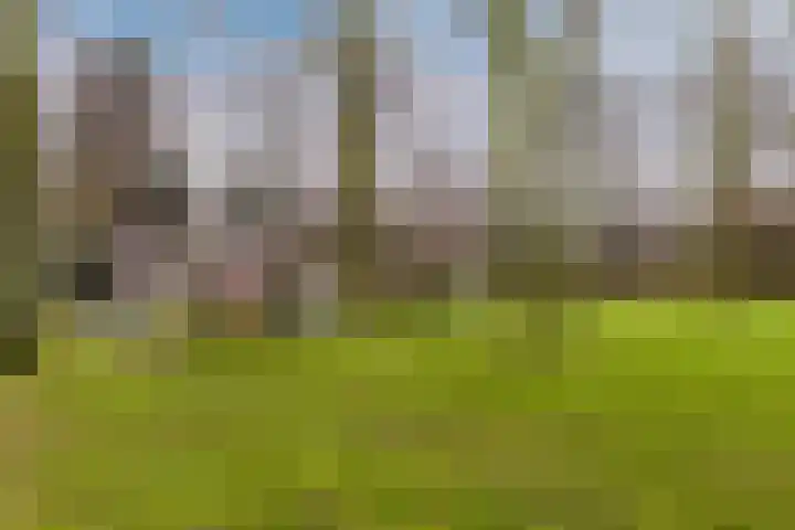 Pinksterbloemweg 109 Zaandam thumbnail 6
