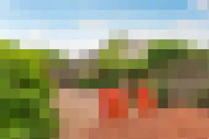 Pinksterbloemweg 112 Almere thumbnail 38