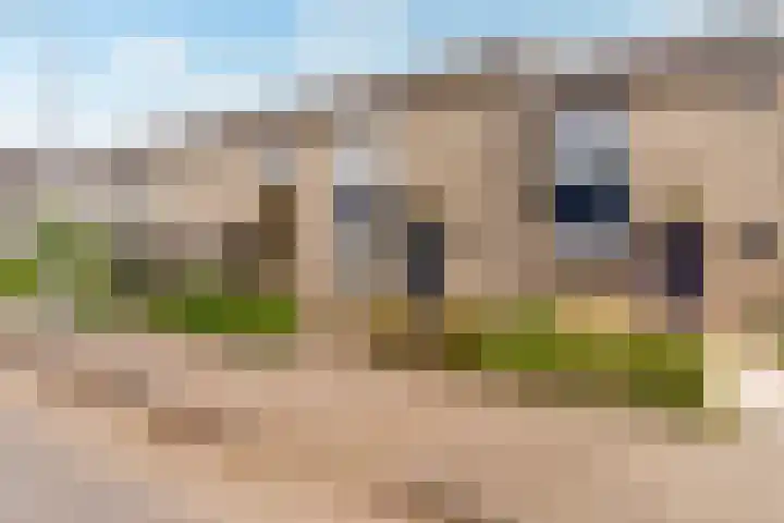 Pinksterbloemweg 112 Almere thumbnail 44