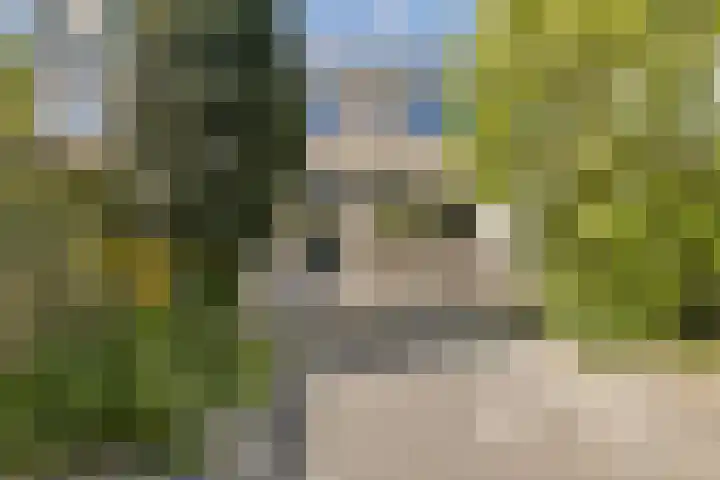 Pinksterbloemweg 12 Zaandam thumbnail 17