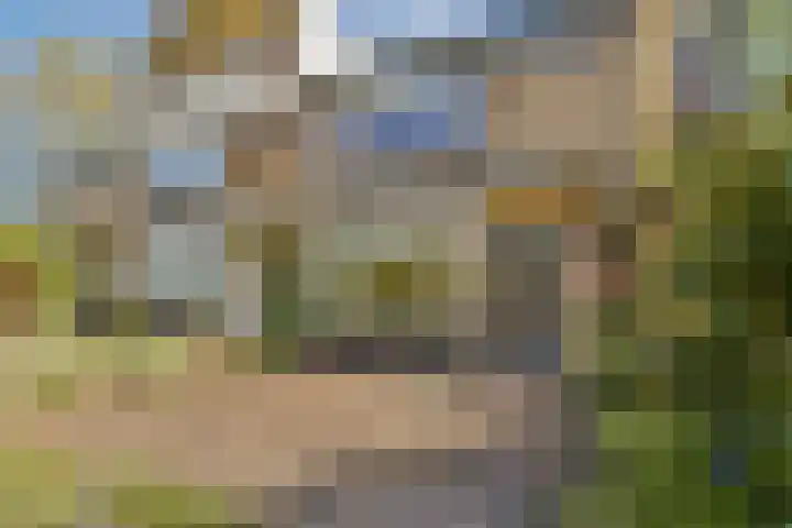Pinksterbloemweg 12 Zaandam thumbnail 34