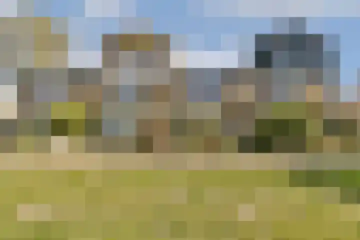 Pinksterbloemweg 12 Zaandam thumbnail 4
