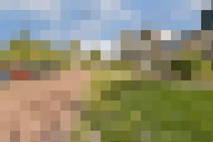 Pinksterbloemweg 12 Zaandam thumbnail 5