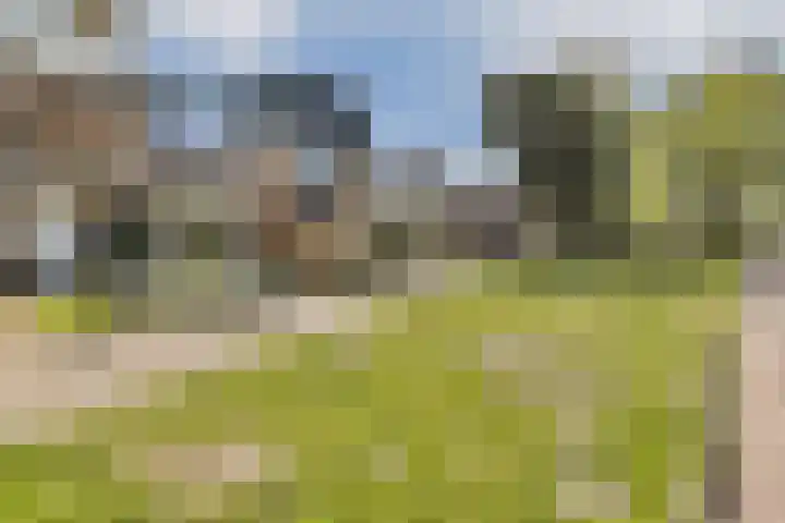 Pinksterbloemweg 12 Zaandam thumbnail 6