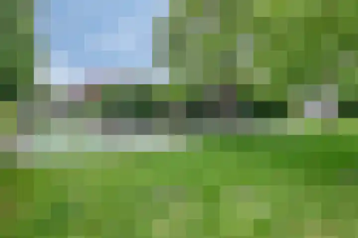 Pinksterbloemweg 124 Almere thumbnail 37