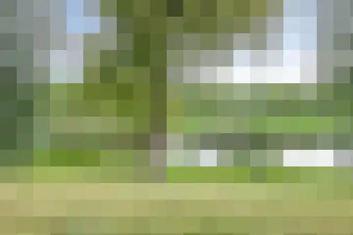 Pinksterbloemweg 124 Almere thumbnail 38