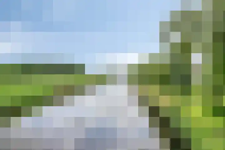 Pinksterbloemweg 124 Almere thumbnail 39