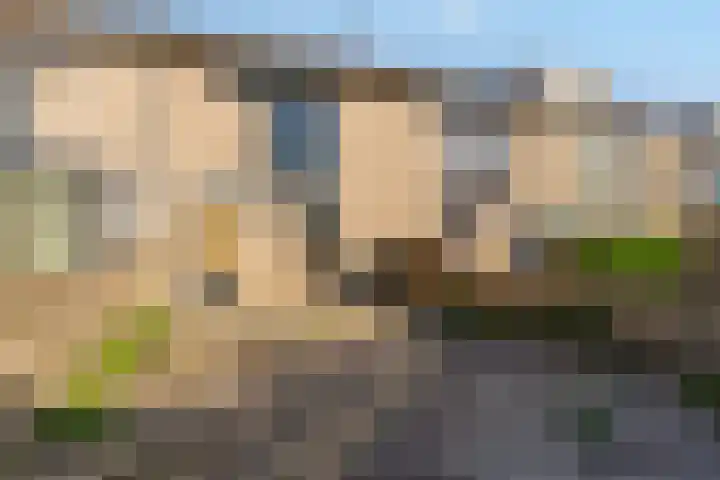 Pinksterbloemweg 130 Almere thumbnail 36