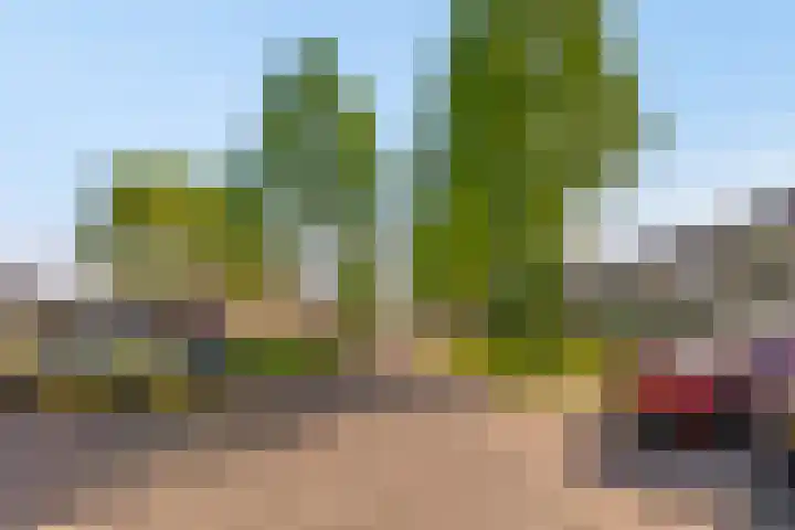 Pinksterbloemweg 130 Almere thumbnail 38