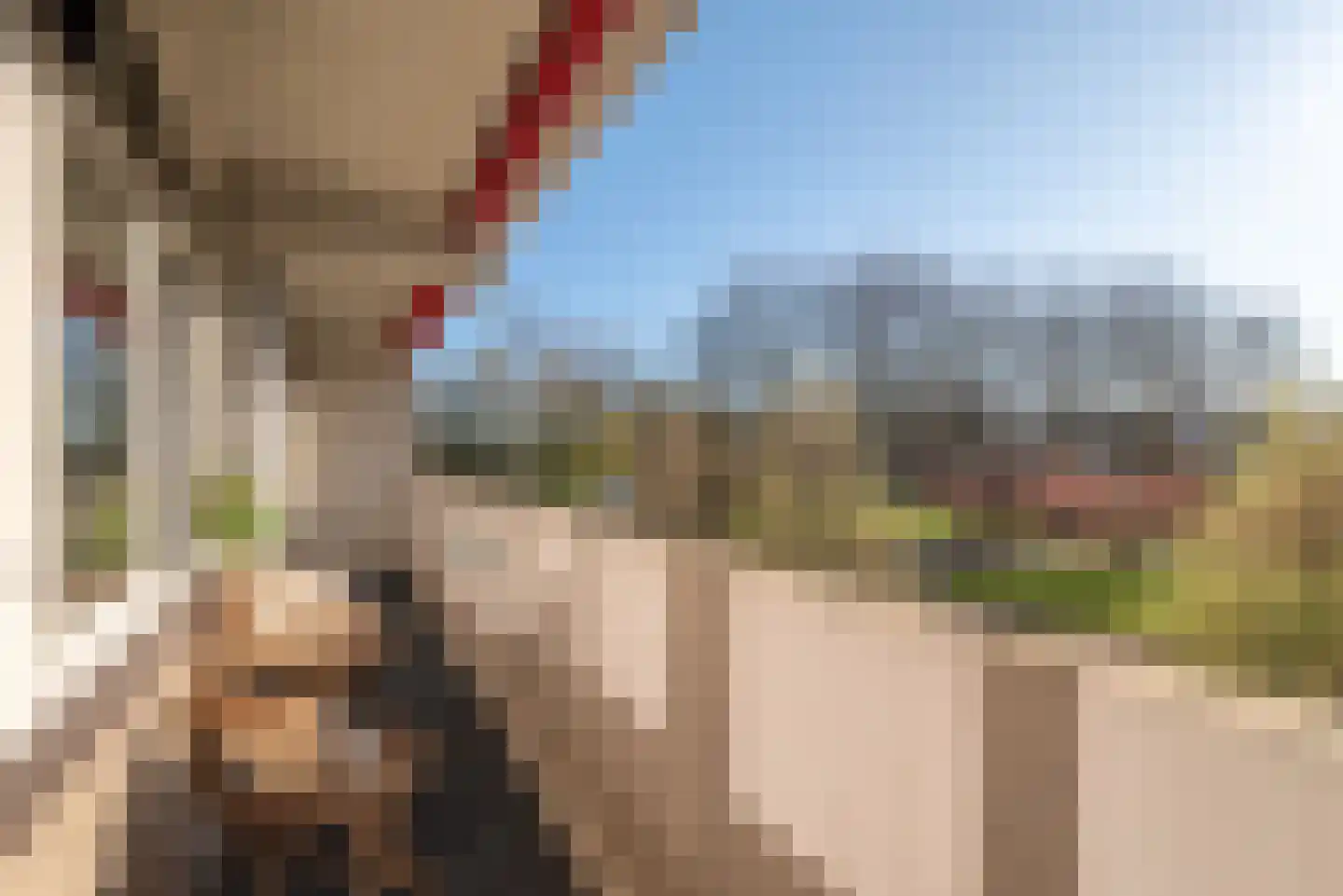 Pinksterbloemweg 141 Zaandam thumbnail 7